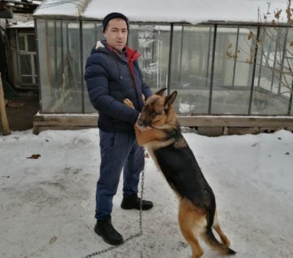 Ко мне, Мухтар: в Челябинской области следственно-оперативная группа МВД разыскала похищенную собаку