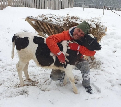 В Челябинске фермер дрессирует теленка с сердечком на лбу