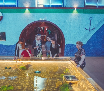 Челябинцам показали, как будет выглядеть после ремонта Дом-аквариум в парке Тищенко, где можно покормить рыбу из соски