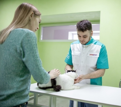 В Челябинске готова к открытию клиника ветеринара, который спасал животных от усыпления
