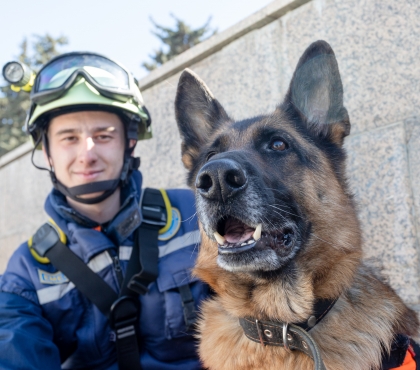 Защитник людей: в Челябинске наградили собаку, которая спасла 20 человек