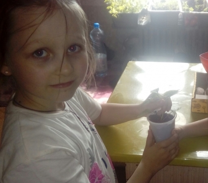Девочка из Челябинска продает рассаду перцев, чтобы помочь больным детям
