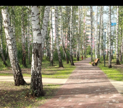 Возле Тополиной аллеи в Челябинске станет почти вдвое больше леса