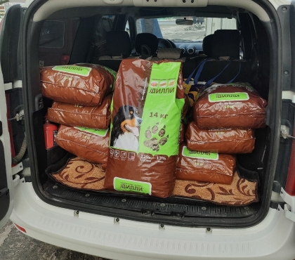 Челябинцы отправят 140 кг корма для бездомных животных в зоне СВО
