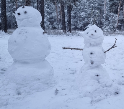 Акробат, стиляга и силач: 10 фото челябинских снеговиков
