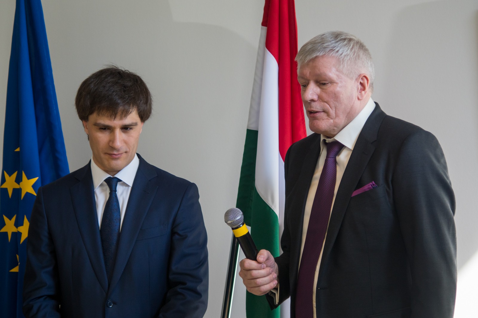Почетное консульство Венгрии откроется в Челябинске