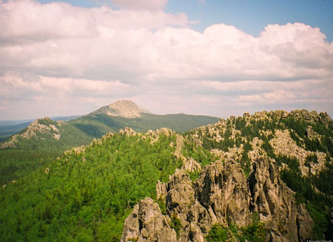 Интересный факт: за последние сто лет "лысые" горы Челябинской области поросли лесом 
