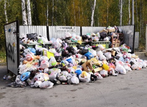 На ликвидацию "мусорного коллапса" из областного бюджета выделят 88 млн. рублей 
