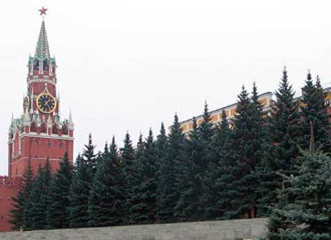 В Челябинской области появятся аллеи из "деток" главной Кремлевской елки