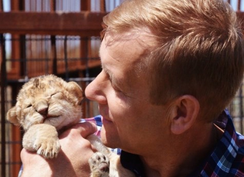 Львица, спасенная из частного зоопарка в Челябинской области, принесла потомство