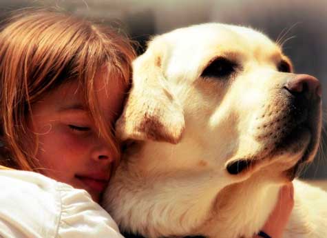 Собаки-реабилитологи помогут южноуральским малышам восстановить здоровье 