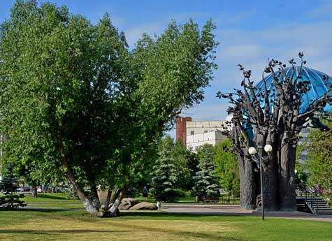 В Челябинске высадят более 5000 новых  деревьев