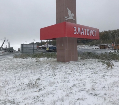 Припорошил траву и ветви: в Челябинской области выпал первый снег
