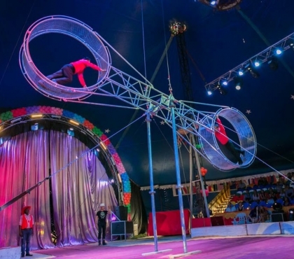 Это будет принципиально новый проект: рассказываем о ремонте челябинского цирка