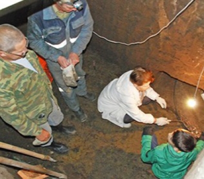На Южном Урале мужчина выкопал бивень мамонта в собственном гараже