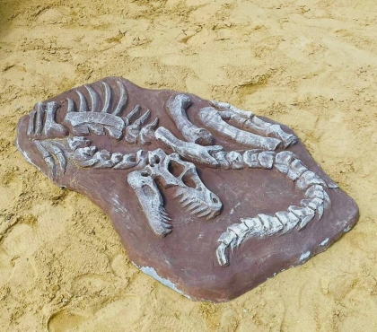 Песочница для будущих археологов: сквер в Челябинске «заселили» останками динозавра