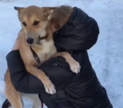 Девушка из Челябинска нашла в приюте свою собаку, которую выкрал и выбросил ее парень