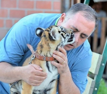 Челябинский ветеринар выхаживает тигренка, которого пытались украсть в Оренбургской области