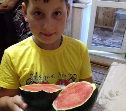 Четвероклассник из Копейска за летние каникулы вырастил на домашней грядке сладкие арбузы
