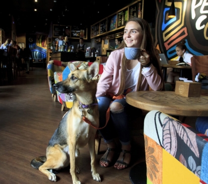 10 челябинских кафе, куда можно с собаками