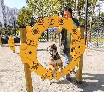 В микрорайоне «Парковый» построят площадку для выгула и дрессировки собак
