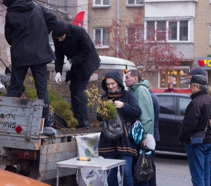 Жителям Челябинска раздали 20 тысяч саженцев деревьев