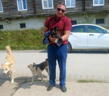 В Челябинской области полицейские спасли щенка, который увяз в гудроне