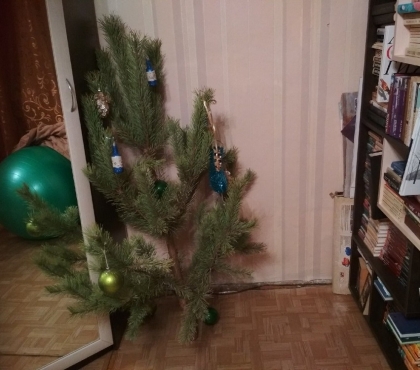 Елена Пономарева: «Мы поставили новогоднюю ёлку к середине января, когда все их выбрасывали»