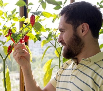 Red hot сhili peppers: инженер из Челябинска основал собственный бренд огненно-острых соусов