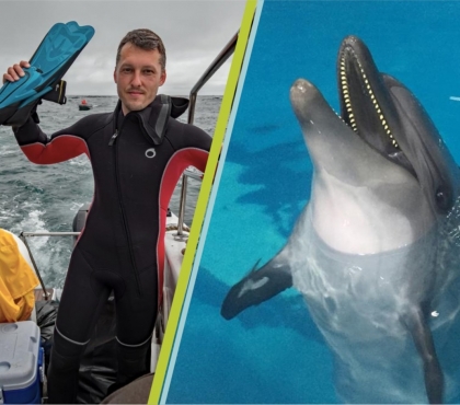 Житель Копейска помогает спасти дельфина, запертого в иранском дельфинарии