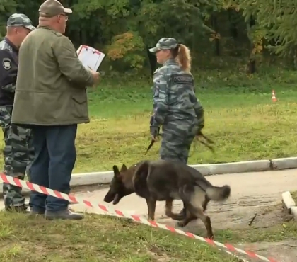 Служебная собака из Челябинской области стала лучшей ищейкой России по поиску наркотиков