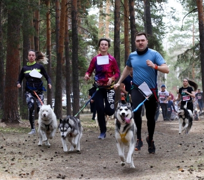 В помощь бездомным животным: в Челябинске пройдет благотворительный забег с собаками