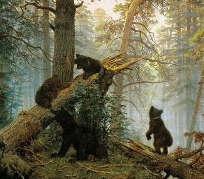 Почти как у Шишкина: в Челябинской области сфотографировали семейство медведей