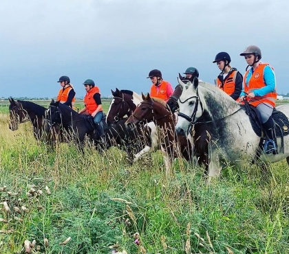 «ЛизаАлерт» пересядут на лошадей: в Челябинской области пропавших без вести будет искать специальный конный отряд