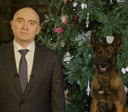 Выросла и научилась искать взрывчатку: в Челябинске нашли собаку, которая снялась в ролике с экс-губернатором Борисом Дубровским