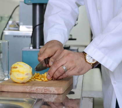 Челябинские ученые нашли в апельсиновой кожуре вещества, которые помогут предотвратить болезнь Альцгеймера