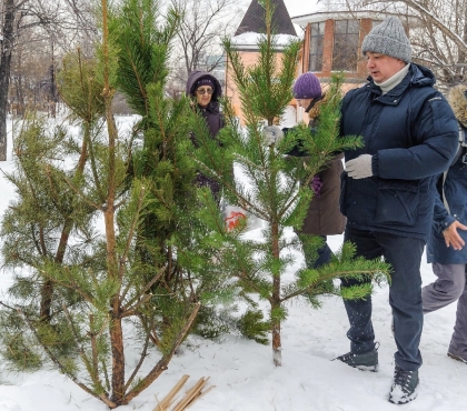 Снимайте мишуру и привозите: в Челябинске открылся пункт приема новогодних ёлок