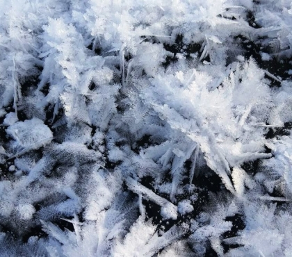 В нацпарке «Зигальга» распустились ледяные цветы