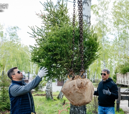 В Челябинске возле нового собора Рождества Христова высадили 124 дерева