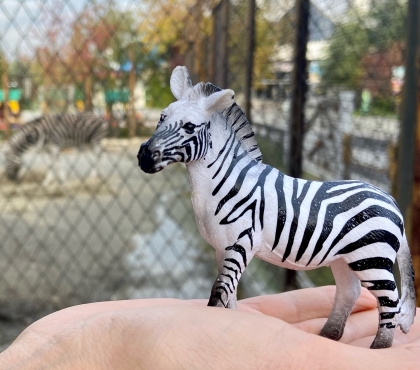 В Челябинский зоопарк просят принести игрушки животных для занятий со слабовидящими посетителями
