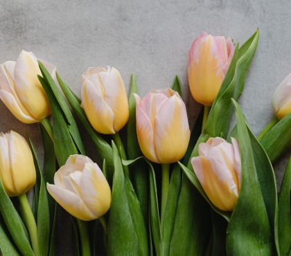Что подарить на 8 марта, кроме роз: четыре весенних цветка, которые прекрасно смотрятся в букетах