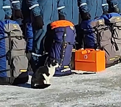 Тоже слушал командира: в Челябинской области во время построения бойцов МЧС на плац вышел кот