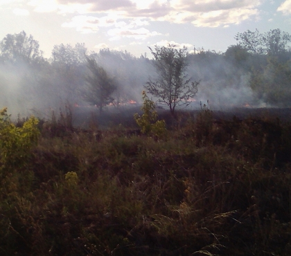 В Магнитогорске 12-летняя девочка справилась с лесным пожаром за 4 часа