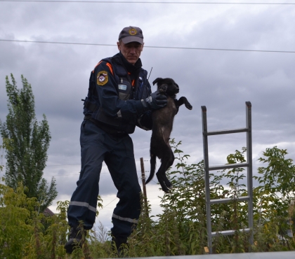 В Челябинске спасатели помогли щенку, упавшему в заброшенный коллектор