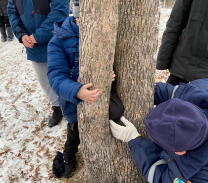 Доигрался: в Челябинской области спасатели освободили школьника, застрявшего между стволов деревьев