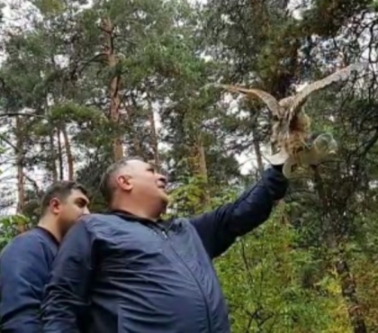 Челябинские зоозащитники отпустили в лес сову и ежиков после реабилитации