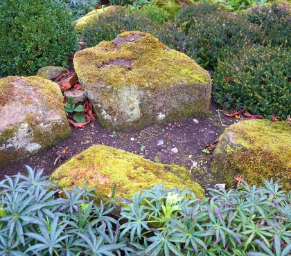 Весной и осенью — сад камней, а летом — луг с кустарниками: ландшафтные дизайнеры украсят сквер у Драмтеатра