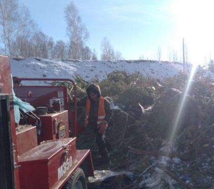 Перемалывают в щепу: на полетаевском полигоне ТБО показали, как перерабатывают новогодние елки