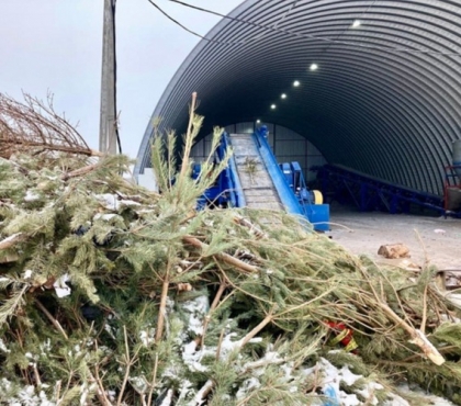 В Челябинске из выброшенных новогодних елок сделают «евродрова»