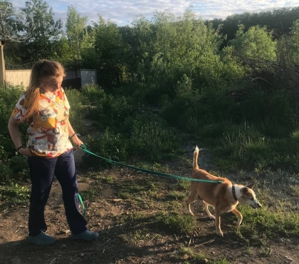 В Челябинске волонтеры подобрали старую собаку-поводыря, оказавшуюся никому не нужной